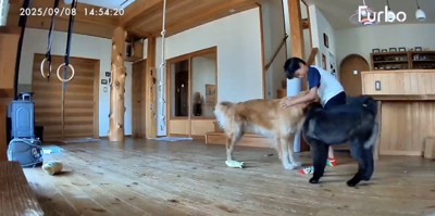 本当の兄弟みたい