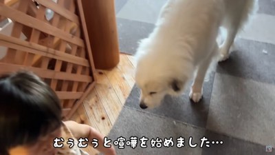 大泣きしちゃった！