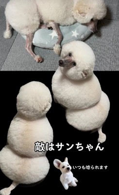 今後のニュースタイルに期待！！