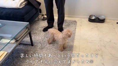 寂しい小殿くん