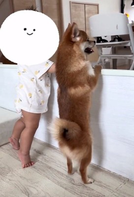 並んで立つふたり