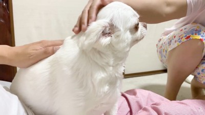 ナデナデ♡