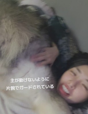 投稿主さんへの愛が止まらない