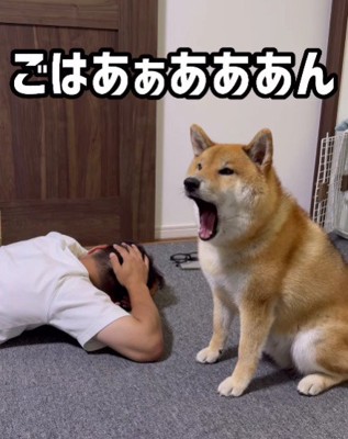 「ごはああああん」