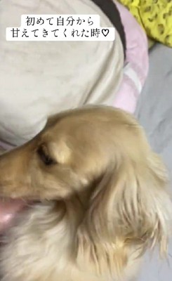 絆が出来た瞬間でした