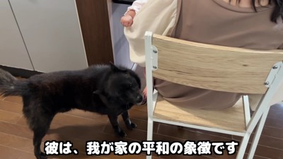 一休さんは平和の象徴