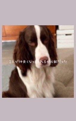 ププくんと娘さん2