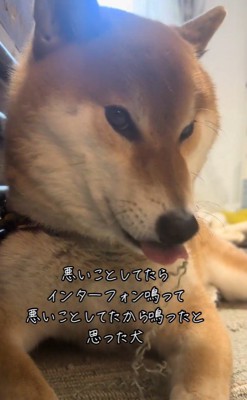 イタズラ中のぬん君3