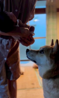 「これからよろしくね」