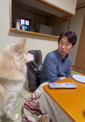 ポジションを整えて再挑戦