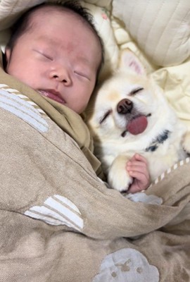 あまりにも尊い光景