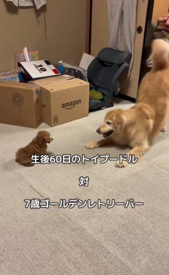 みるくちゃんと蘭ちゃん