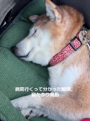 この日も絶望モードに…