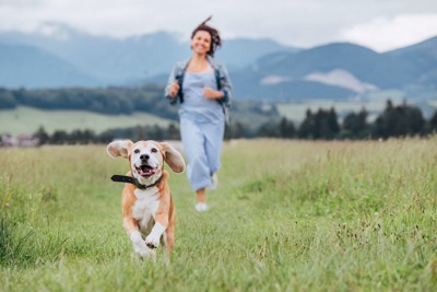 一緒に走る犬と女性