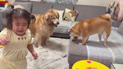 大泣きするほのちゃん