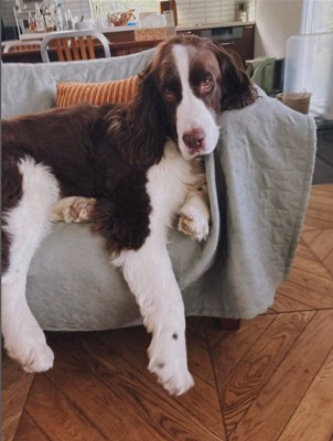 女の子が撮ったププくんの写真2