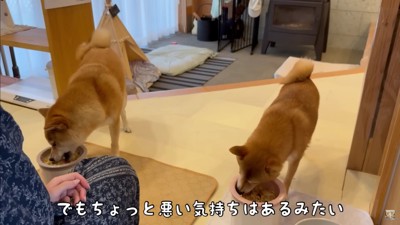 ママに甘えちゃう富くんでした♡