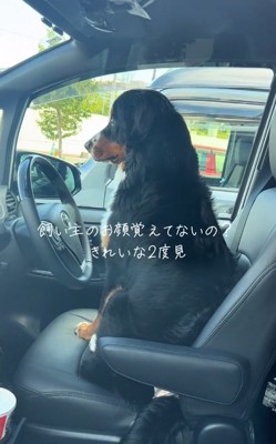 前を向くはくちゃん