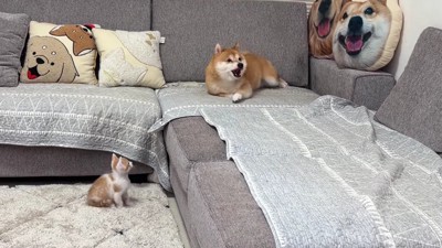 なんとか腰を下ろした…
