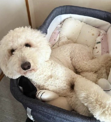 満足そうな表情にキュン