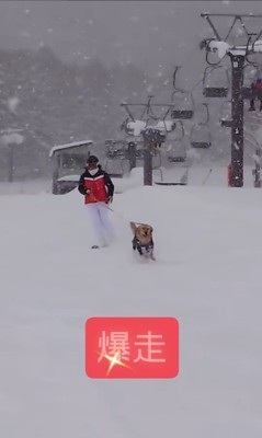 ゲレンデを爆走するリコくん6