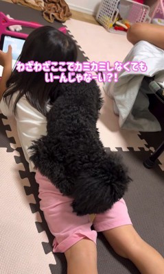 固い絆で結ばれています