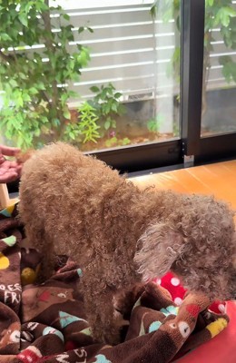 余命宣告を受けた…