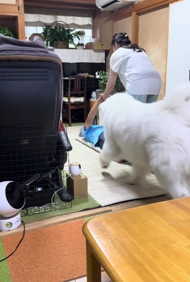おばあちゃんが手助けすると…