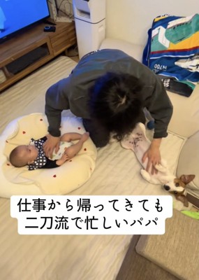 両手でナデナデ
