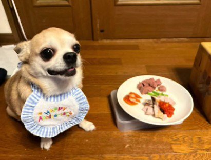 すっかり健康的な姿に！！