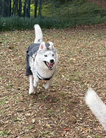 怖すぎる表情に!!