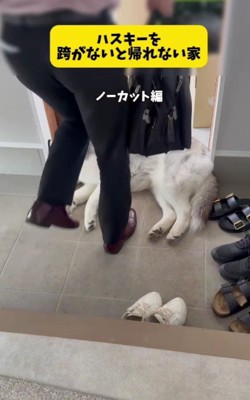 なおもお昼寝するおこめちゃん