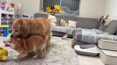 全身でうにくんを制止!!