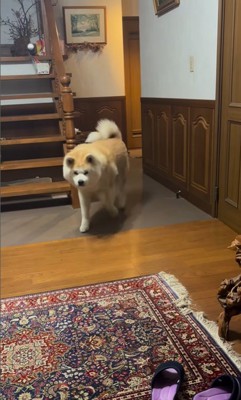 健くんの熱烈歓迎3