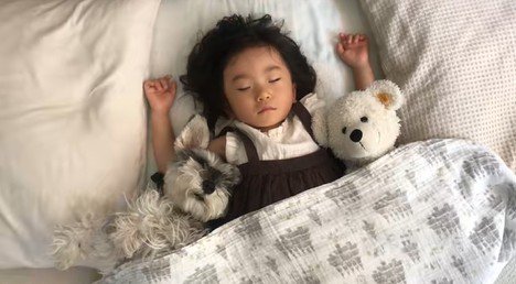 一緒に寝るトトちゃんと女の子6