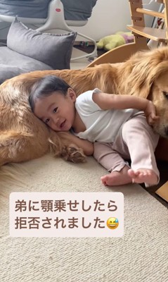 ラジャーくんが息子くんにあご乗せしてみたら7