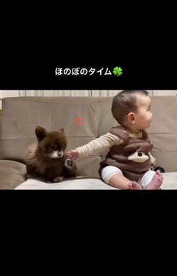 あんこちゃんと赤ちゃん
