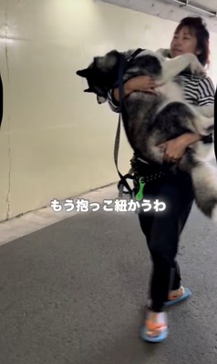 犬を抱っこして歩く人