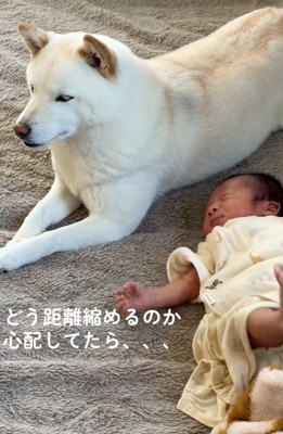 心配する投稿者さん