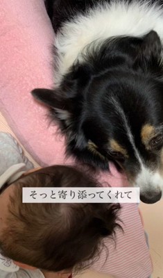 すぐに受け入れてくれた