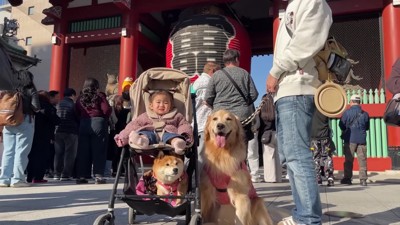 雷門を歩いたり…