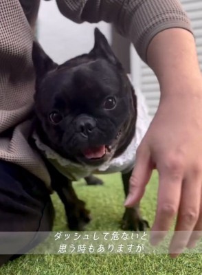 笑顔のあずきちゃん1