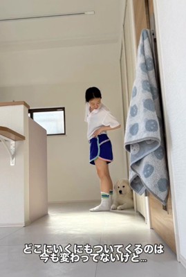 子犬を見下ろす飼い主