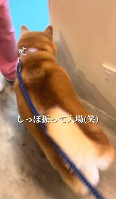 吸い込まれるように診察室へ