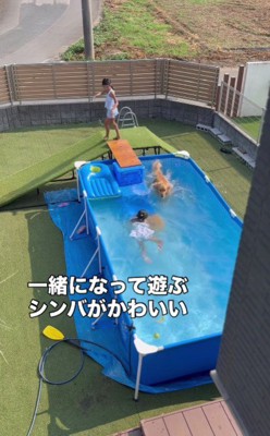 3姉弟でプールを満喫♪