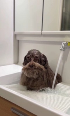 ちろるんちゃんの入浴姿