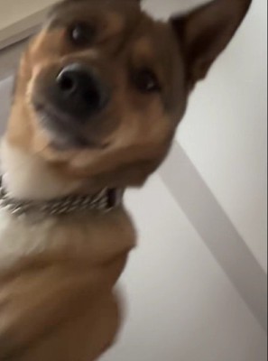 静かな圧をかけてくる