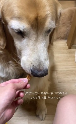 なかなか食べないロイくん