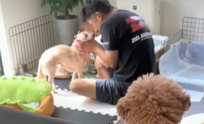 お話しするパパと犬