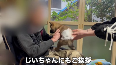 おじいちゃんとも挨拶
